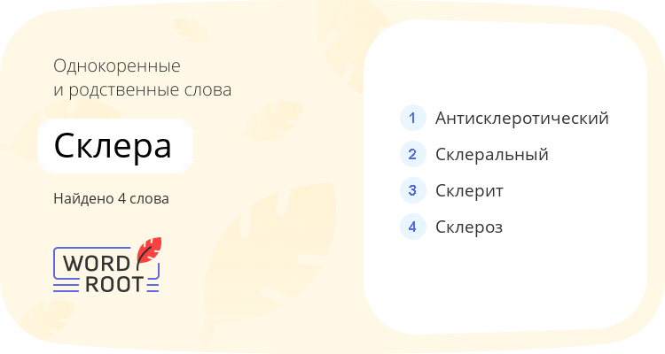 Однокоренные и родственные слова для склера