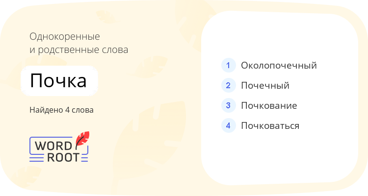 Однокоренные и родственные слова для почка