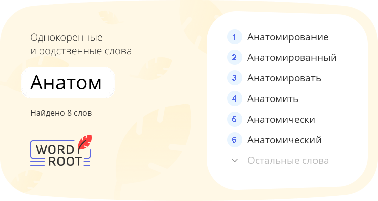 Однокоренные и родственные слова для анатом