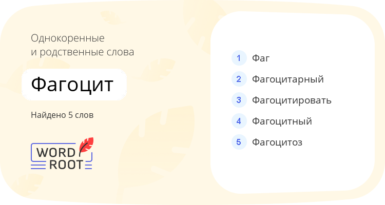 Однокоренные и родственные слова для фагоцит