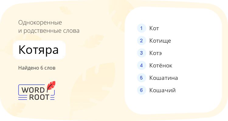 Однокоренные и родственные слова для котяра